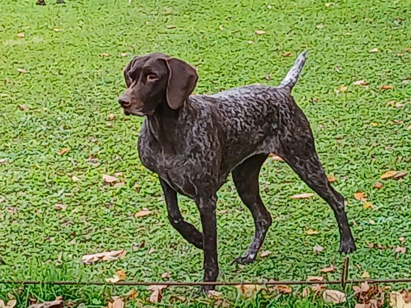 SAYA of Black And Sand